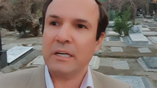 مگس های مزاحم زندگی