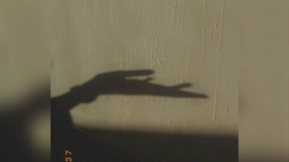 کاور اهنگ شات دون با ویلن از تیام(شوکا)