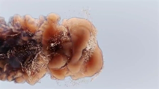 گروه نقیب سازه