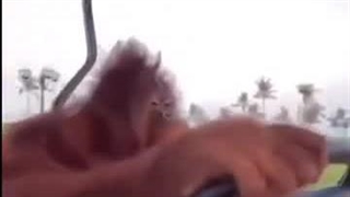 رفیقم پشت فرمون Р=