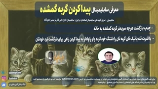 پیدا کردن گربه گمشده با قانون جذب و تله پاتی