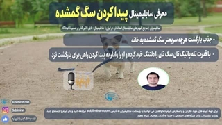 پیدا کردن سگ گمشده با قانون جذب و تله پاتی