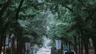 آهنگی بسیار زیبا و آرامبخش بنام هر روز و هر لحظه