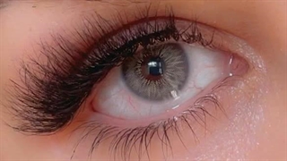 لنز طوسی سبز سلنا لائوس