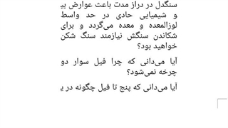 نامه هشتم و نهم از کتاب هشتاد نامه عاشقانه اول