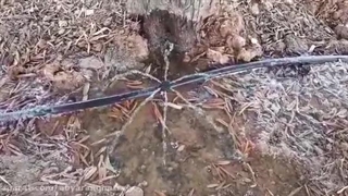 شلنگ آبیاری قطره ای 16 و قطره چکان 6 نازله