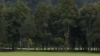 <<<But when I listen to Jimin's voice, it's like the gate of heaven opens for me