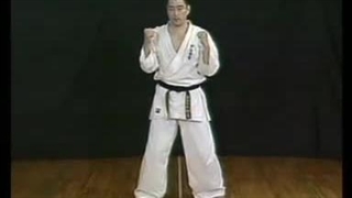 کیهون Seiken Ago Uchi