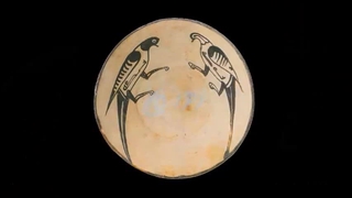 همه می دانند