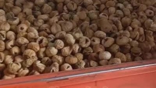 قیمت انجیر خشک