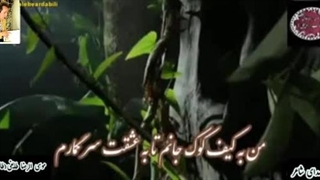 شعر فارسی عاشقانه | قصه ی کیفر آغوش خیال | شعر و دکلمه ماندگار شاعر شهیر ایرانی طالب اردبیلی