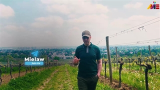 چگونه سریع و کم‌خرج به انگلستان مهاجرت کنیم؟ بهترین روش دریافت اقامت انگلیس