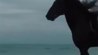 نماد حیوانی متولدتین هر ماه