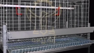 انواع قفس مرغ آشیونه