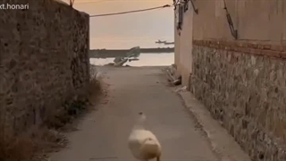 آره آره کاملا همین جوری ام من