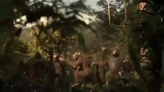 بازیگر طنز.