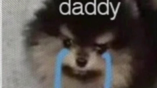 یونان وقتی فهمید تهیونگ یکی دیگه رو برد اسپانیا:)