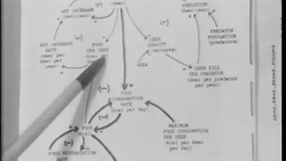 Systems: Overshoot and Collapse