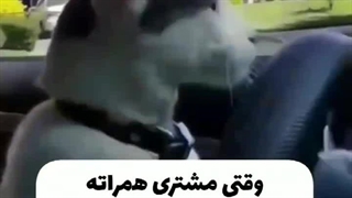 وقتی مشتری همراته و کوچه رو گم کردی