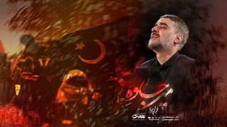 زائرانی که می‌آیند تا از رضا(ع)، به حسین(ع) برسند / زائرهای پاکستانی، به قیمتِ جون میان ...