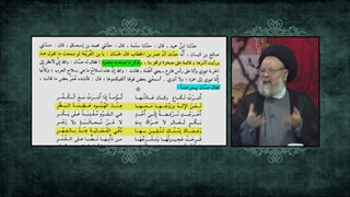 نسب معاویه بلیچینگ دندان