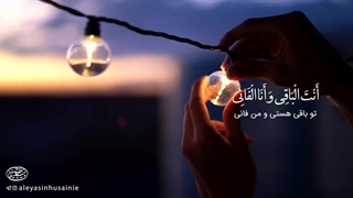 مناجات امیرالمومنین ع در مسجد کوفه