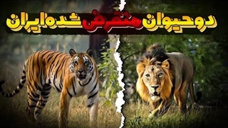 دو حیوان منقرض شده ایرانی که دیگه هیچوقت اونارو نمیبینیم!