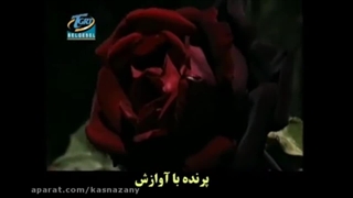 خلاصه فیلم حضرت عبدالقادر گیلانی