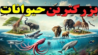 بزرگترین موجودات روی زمین : سفری به دنیای عظیم‌ترین حیوانات!