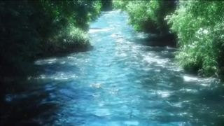 The blue of the river and the green of the meadow