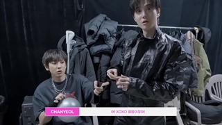 ویدئو پشت صحنه تمرین و روز کنسرت SMTOWN LIVE 2025 در سئول با سوهو و چانیول با زیرنویس فارسی چسبیده