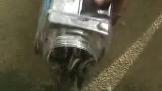 ساخت مزرعه پرورش زالوی طبی در اندونزی |صنعت زالو ایران