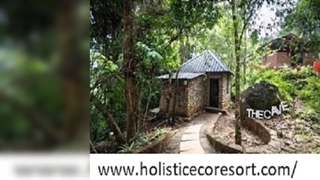 Holistic Stay Eco Resort Paithalmala