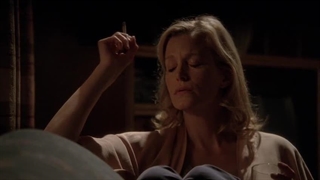 سریال بریکینگ بد فصل 05 قسمت 15 دوبله فارسی Breaking Bad 2013