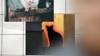 قابلیت تشخیص انسان