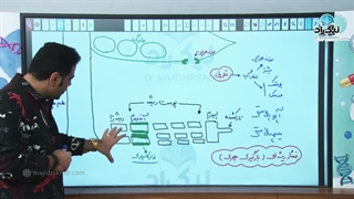 پکیج زیست گیاهی کنکور مدرس مجید نیک راد(مسیر اپوپلاستی و سیمپلاستی)