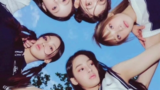 نیوجینز توی دادگاه امروزشون ، صلح و توافق با هایب رو رد کردن . 