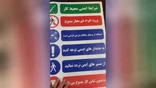 شبرنگ 3 ساله چینی