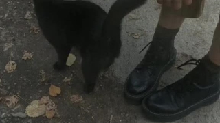 <Just The Two Of Us>