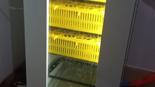 رضایت مشتری خرید دستگاه جوجه کشی هدایت