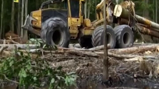 31 اردیبهشت 1403